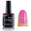 LUXIO Color Gel Endless  080 15 ml - Beauty Business - Выбор профессионалов!